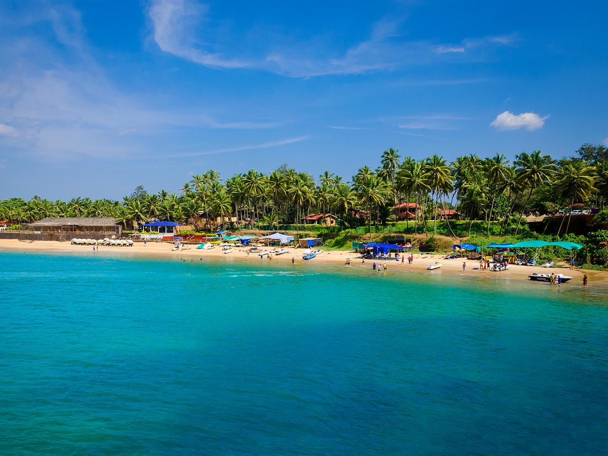 Palm-fringed beach coast in North Goa