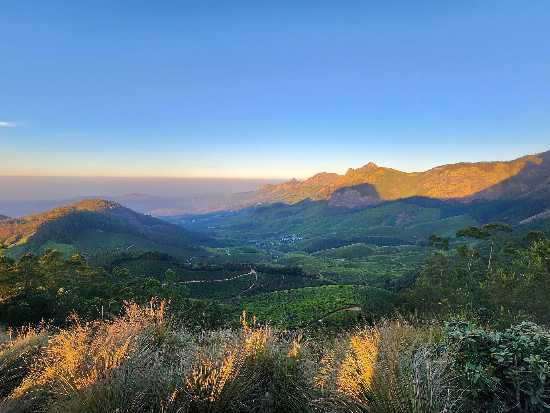 Sprawling tea garden plantations in Munnar